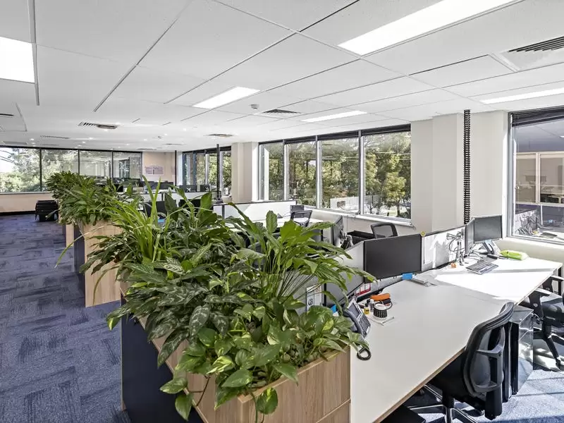 Photo #9: Frenchs Forest - Sold by One Commercial