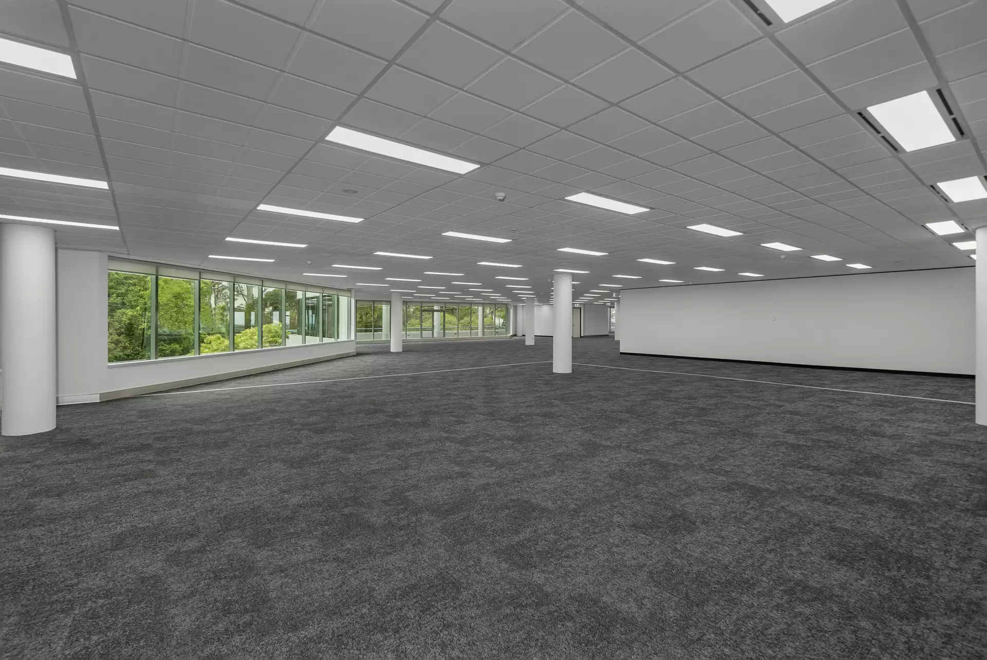 20 Rodborough Rd, Frenchs Forest For Lease by One Commercial - image 1