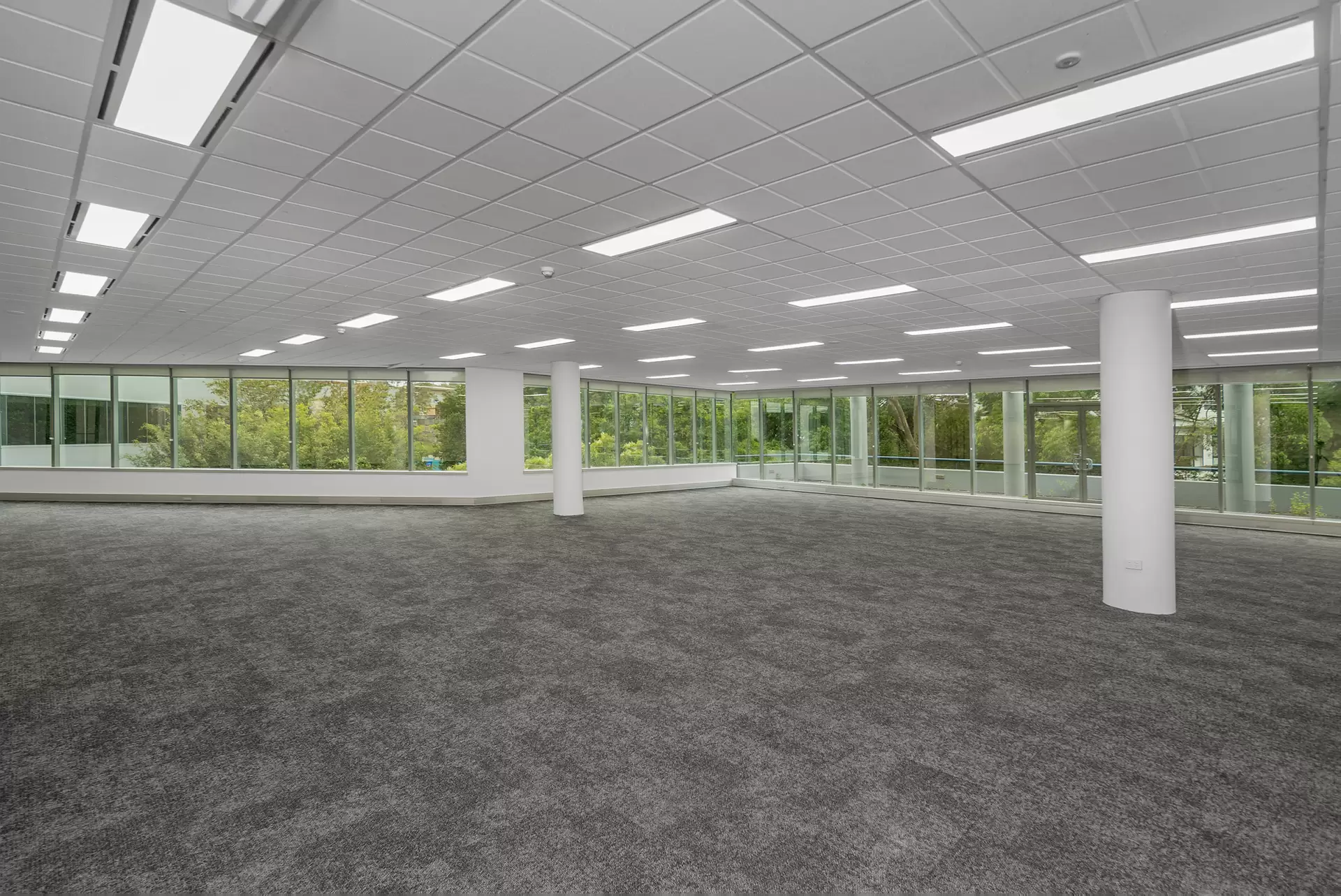 Frenchs Forest For Lease by One Commercial - image 1