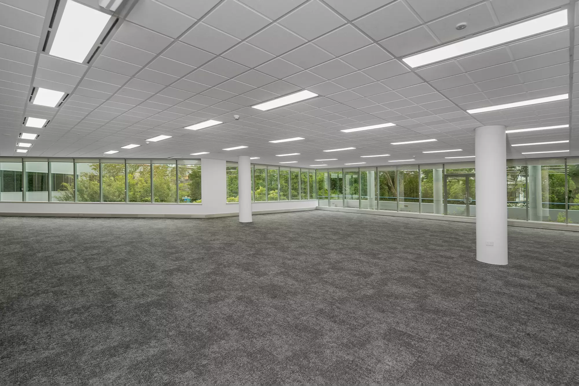 20 Rodborough Rd, Frenchs Forest For Lease by One Commercial - image 20