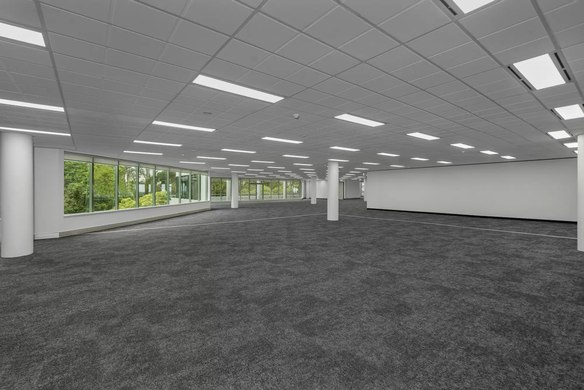 20 Rodborough Rd, Frenchs Forest For Lease by One Commercial - image 21