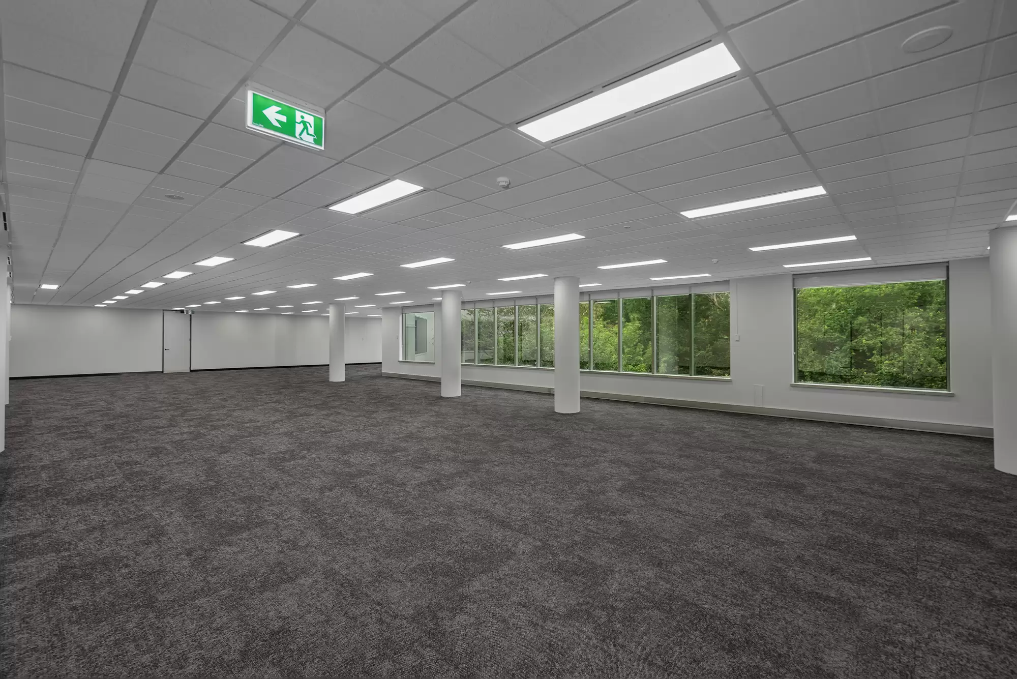 20 Rodborough Rd, Frenchs Forest For Lease by One Commercial - image 22