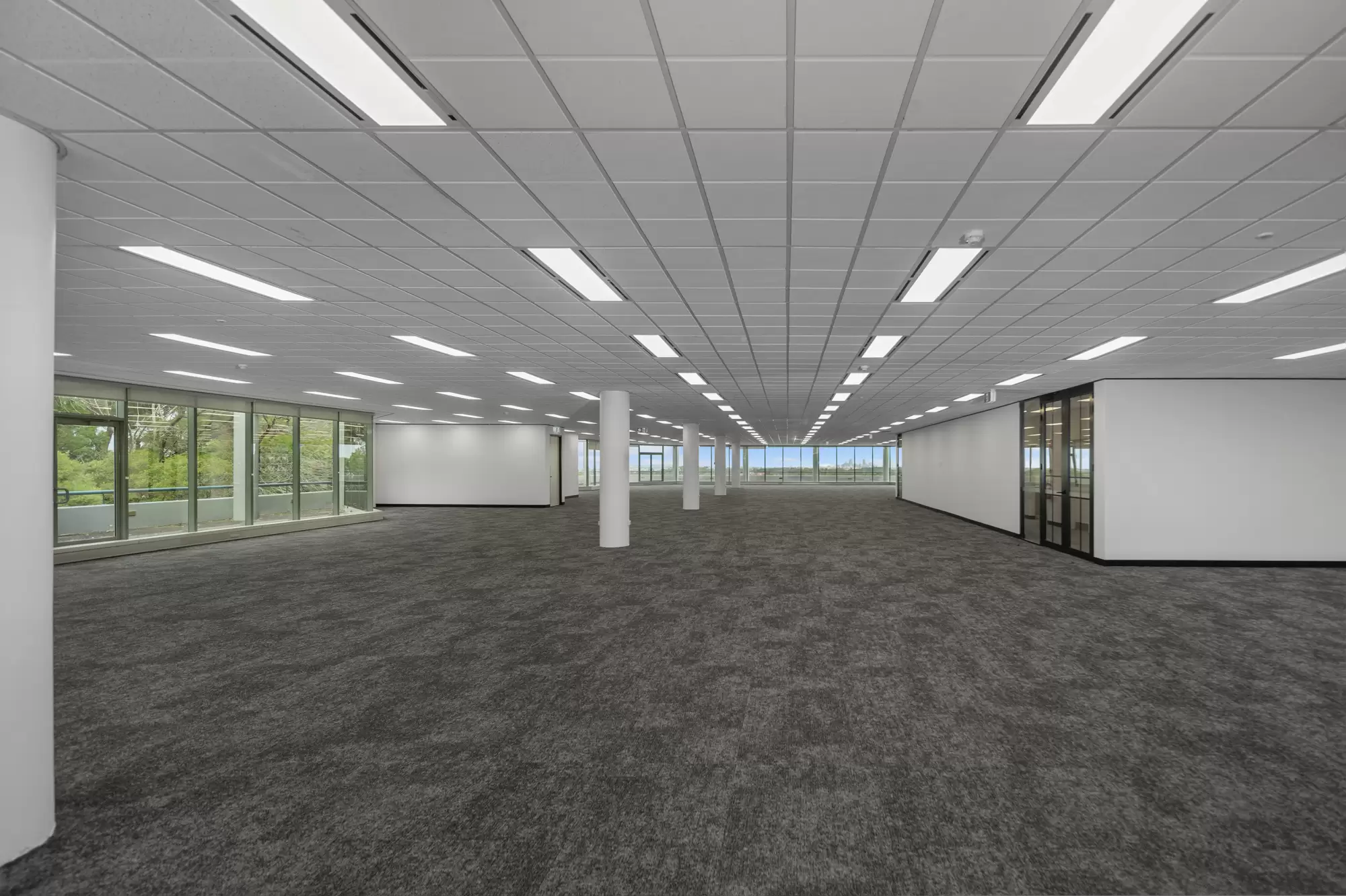 20 Rodborough Rd, Frenchs Forest For Lease by One Commercial - image 24