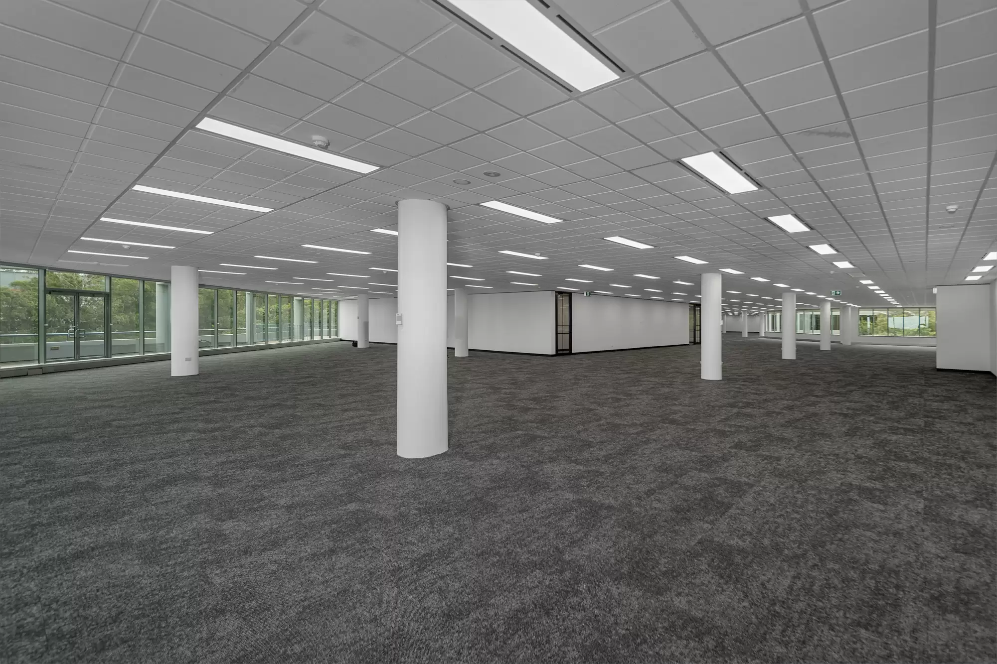 20 Rodborough Rd, Frenchs Forest For Lease by One Commercial - image 25