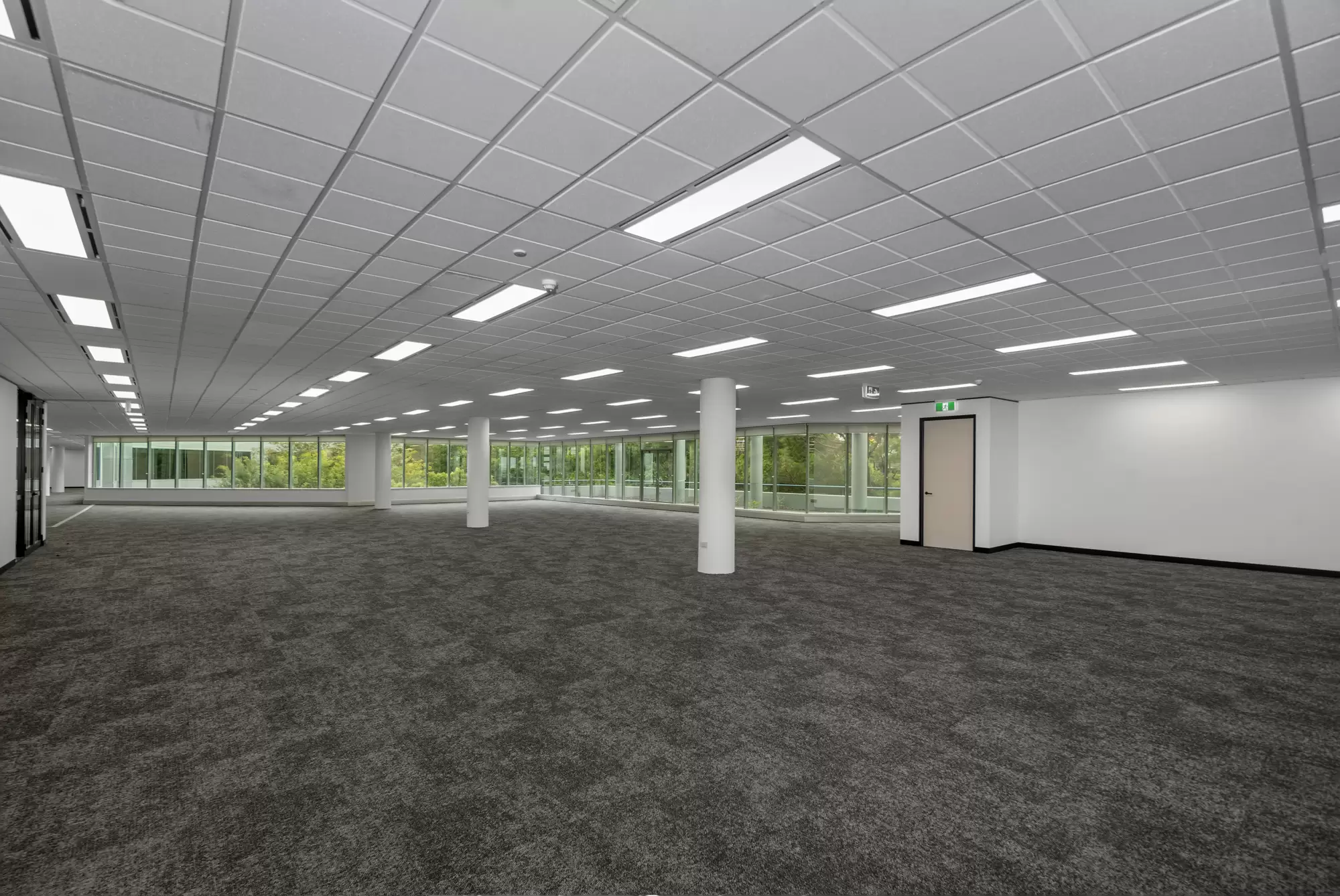 20 Rodborough Rd, Frenchs Forest For Lease by One Commercial - image 19