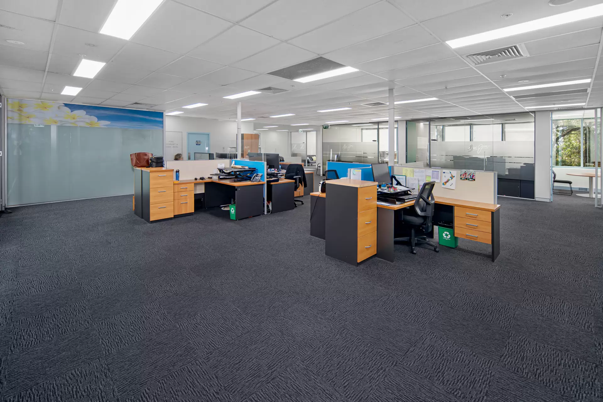 Frenchs Forest Leased by One Commercial - image 1