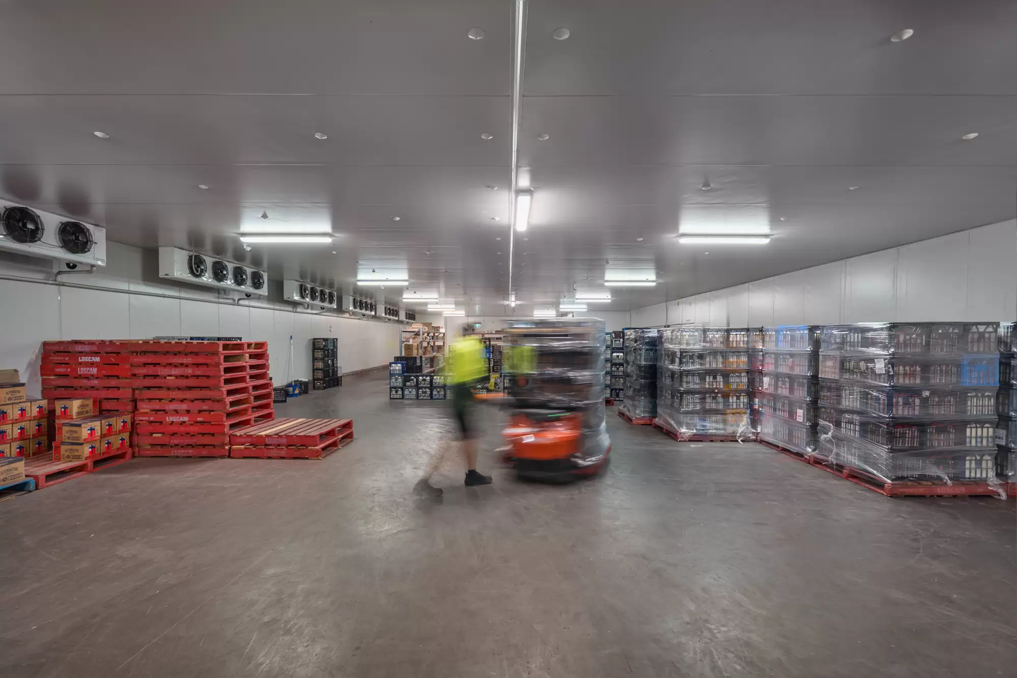 Frenchs Forest For Lease by One Commercial - image 2